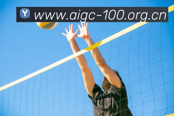 多媒体互动体验